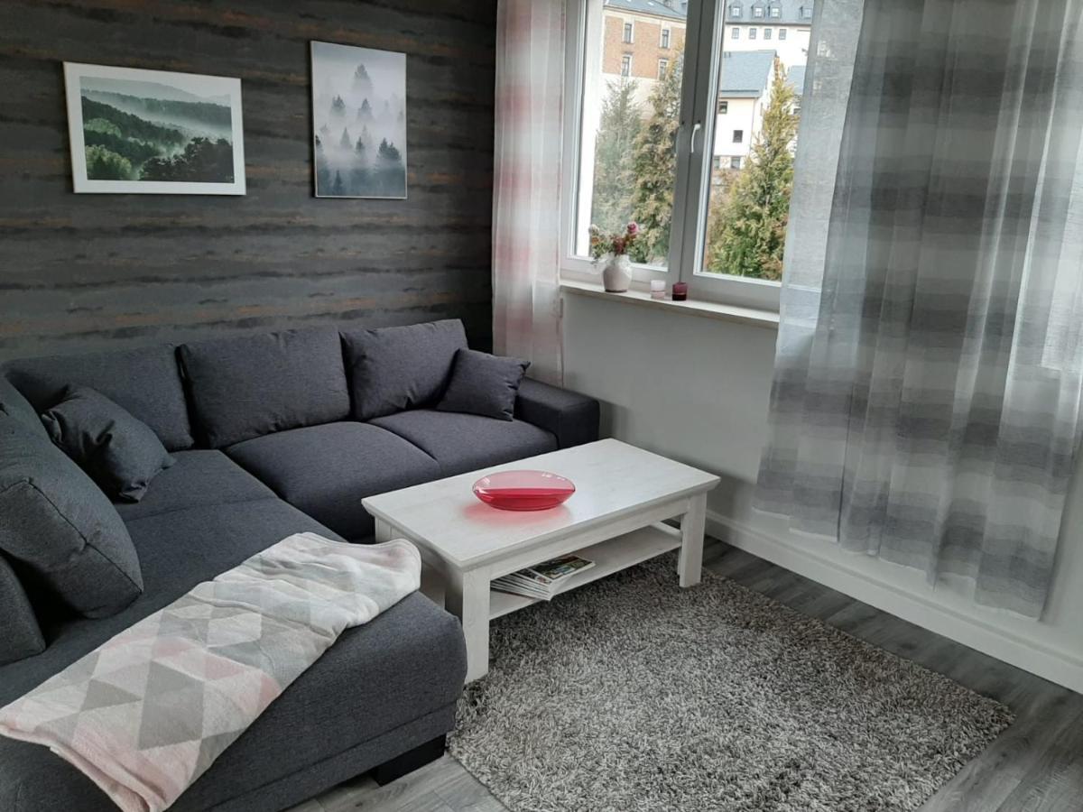 Ferienwohnung Alte Stepperei Шварценберг Екстериор снимка